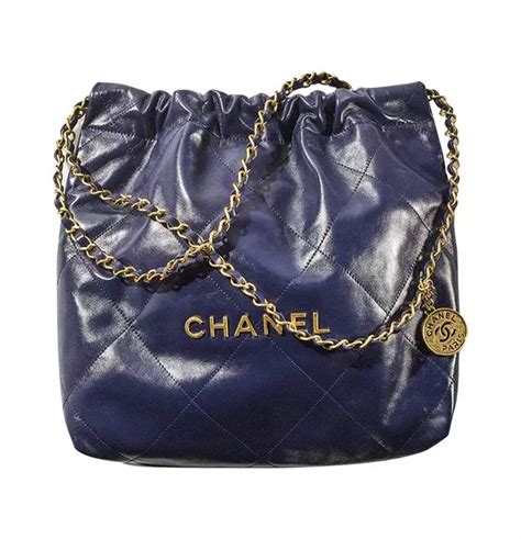 bag in chanel|Chanel new bag 2022.